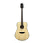 Harmony Foundation Series Terra FS Dreadnought Acoustic Guitar, Natural Gloss