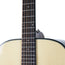 Harmony Foundation Series Terra FS Dreadnought Acoustic Guitar, Natural Gloss