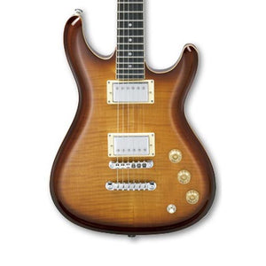 Ibanez GSZ220FM-AL Electric Guitar, Autumn Leaf