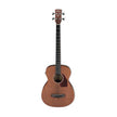 Ibanez PCBE12MH-OPN 4-String Acoustic Bass, Open Pore Natural