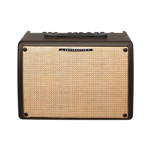 Ibanez T30II-E Troubadour II 30W Acoustic Guitar Combo Amplifier