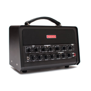 Positive Grid Bias Head DSP Non-Powered Amp Match Head